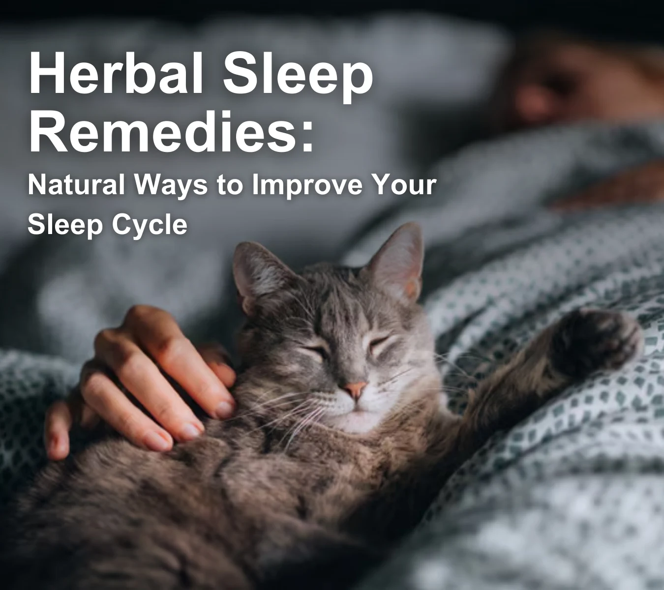 Herbal Sleep Remedies