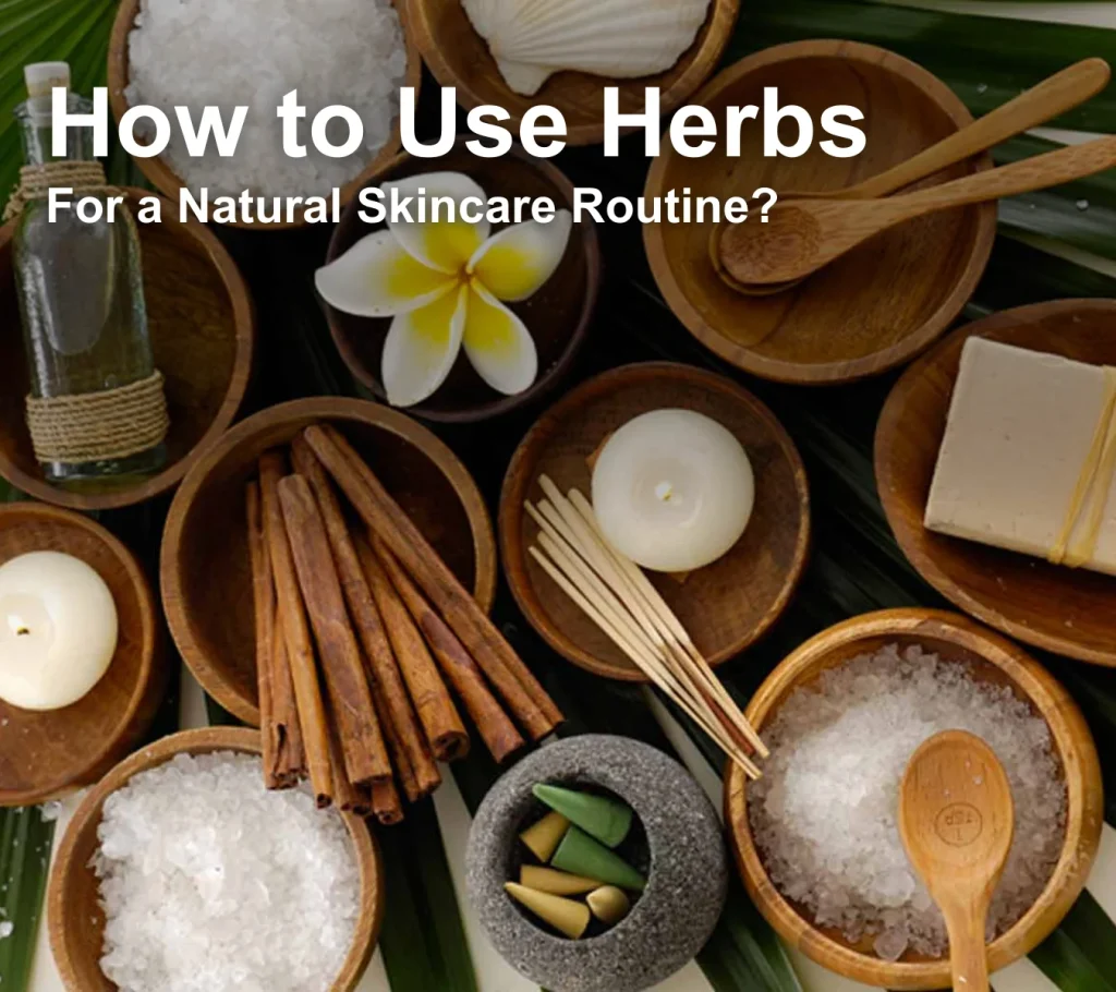 How to Use Herbs for a Natural Skincare Routine
